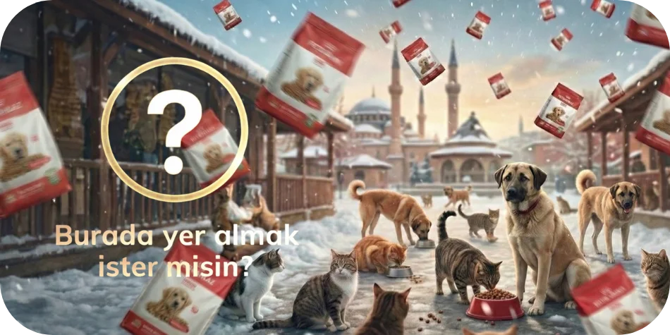 Burada Yer Almak İster Misin ?